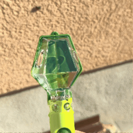 BugLens Bug Catcher & Viewer